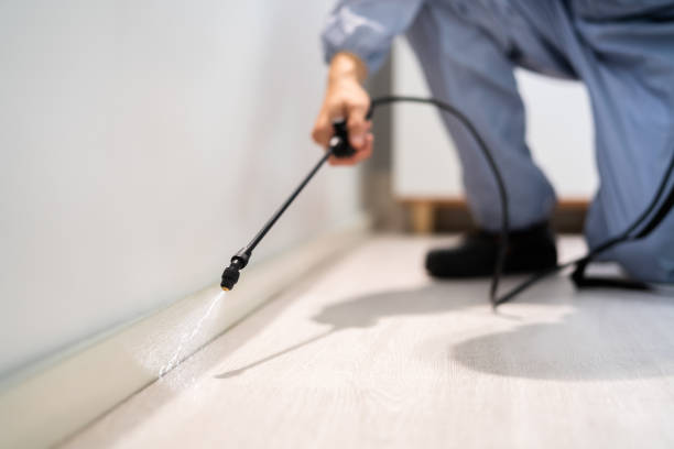 Licensed Pest Control service in Rancho Murieta, CA - Show Me Pest Control